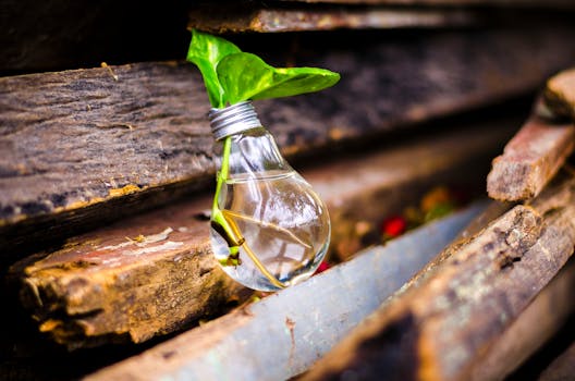 DIY rustic planter made from pallets