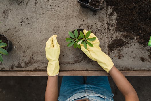 An urban gardener checking their compost bin for progress