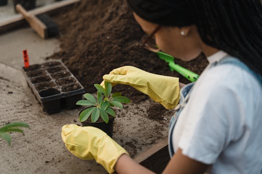 seed starting supplies