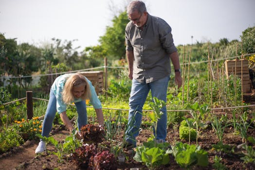 Healthy companion plants in the garden