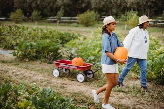 Healthy plants thriving with the help of mulch