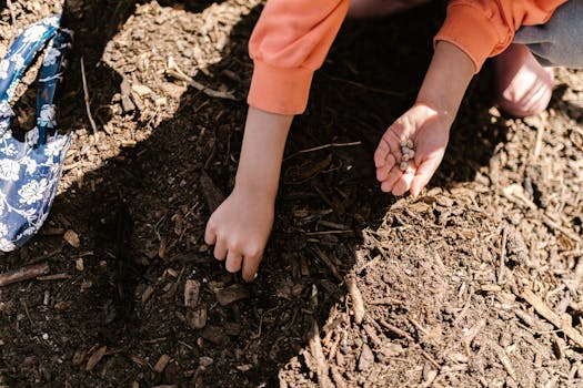 beginner gardener planting seeds