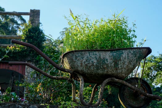 upcycled garden tools and planters