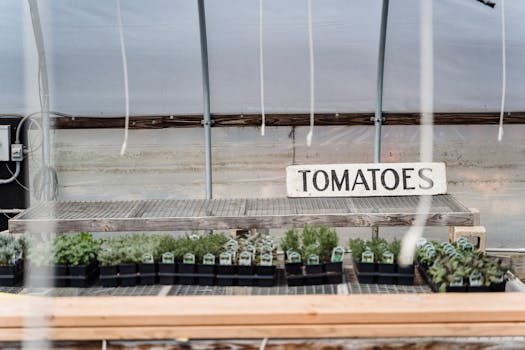 a thriving vegetable garden in a small space