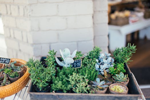 upcycled planters in a garden