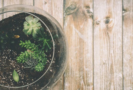 homemade compost pile in a small garden