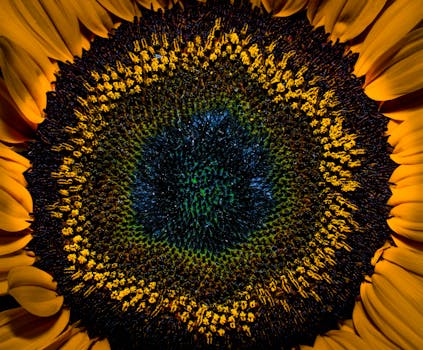 seeds in a garden center