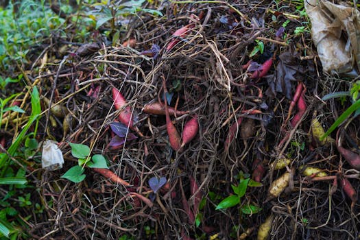 composting process