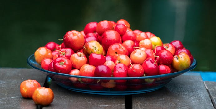 healthy garden with compost