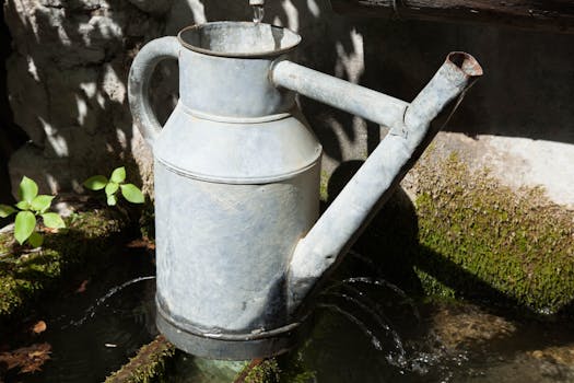 DIY milk jug watering can