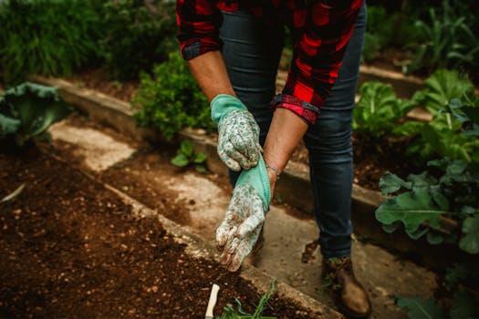 DIY raised garden bed from pallets