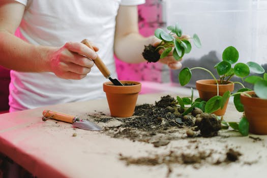 DIY newspaper seed pots