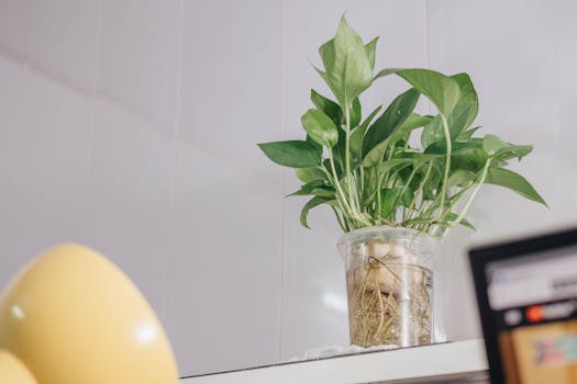 indoor garden with recycled containers