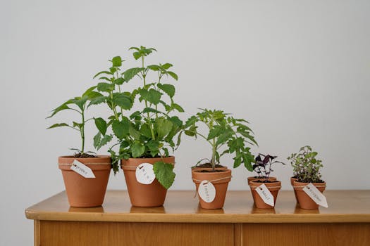 vertical garden using recycled planters