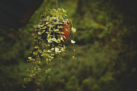 hanging vertical garden