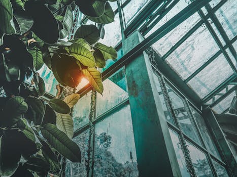 Urban garden filled with vibrant plants