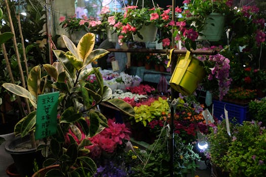 lush garden with various plants