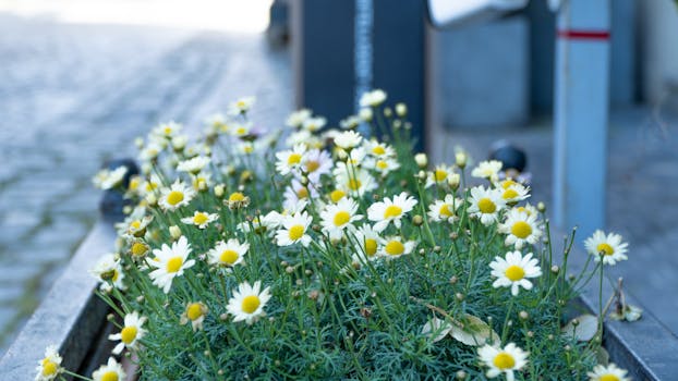 Urban Gardening Success