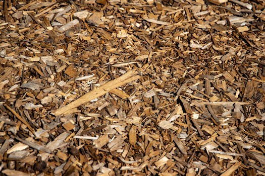 wood chips for mulch