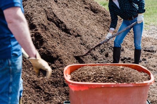 soil testing kit for home gardeners