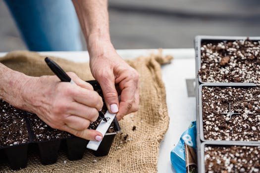 seed starting indoor garden