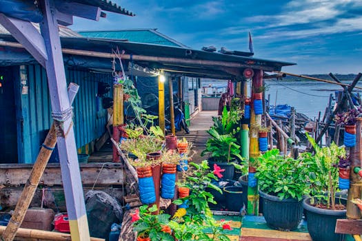 Urban garden in pots