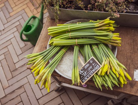 seasonal plant sale