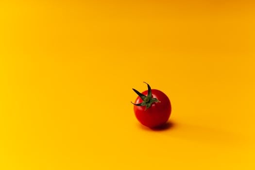 image of a flourishing vegetable garden