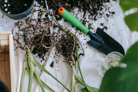 upcycled garden tools