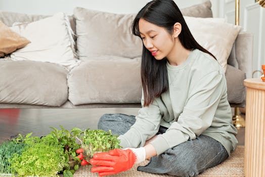 healthy indoor plants in small pots