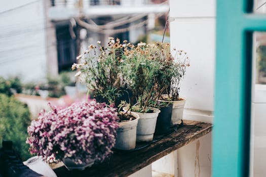 Vertical gardening setup on a balcony