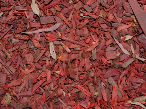 urban garden with wood chip mulch