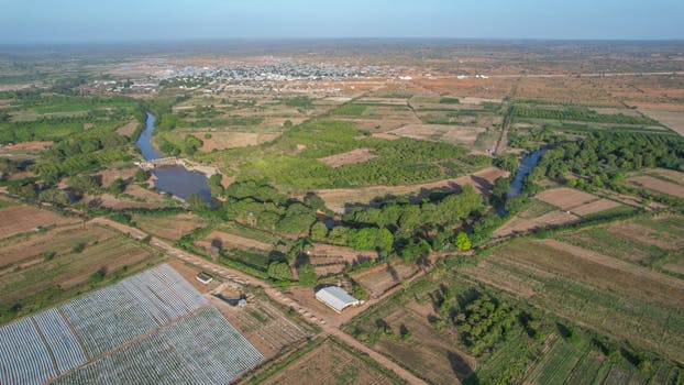 DIY gravity-fed irrigation