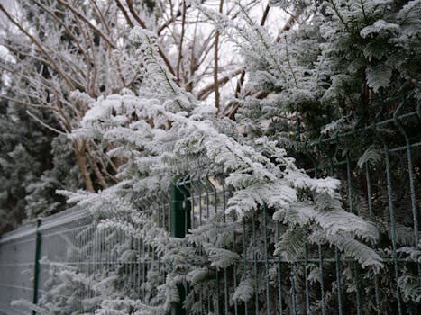 winter garden preparation