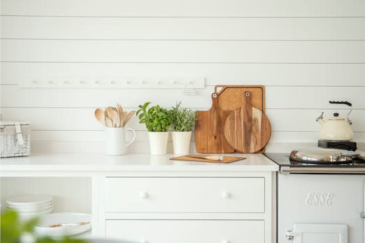 colorful pots with herbs