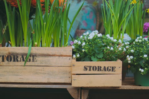 local nursery with vibrant plants