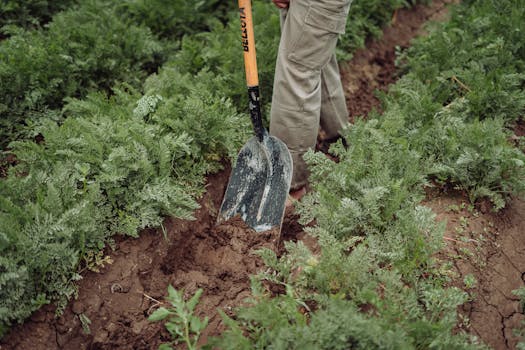 basic gardening tools