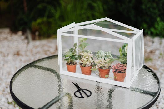 DIY mini greenhouse