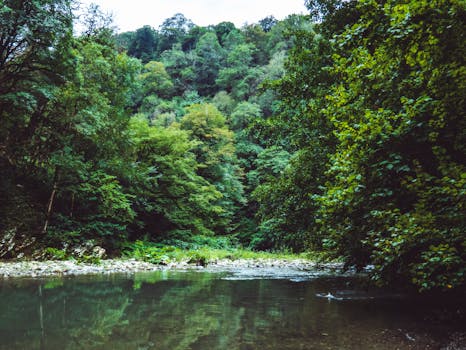 lush green plants thriving in water